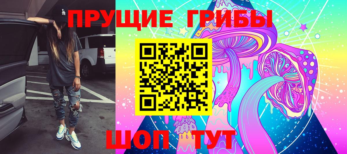 Псилоцибиновые грибы Magic Shrooms Новодвинск