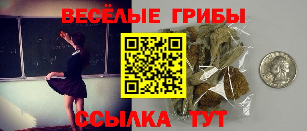 Псилоцибиновые грибы ЛСД  Вход с VPN  Новодвинск 
